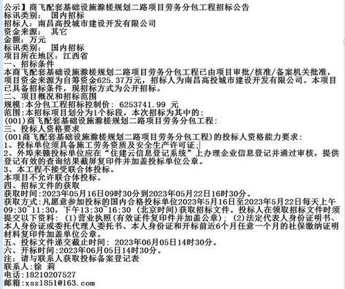 商飞配套基础设施滁槎规划二路项目劳务分包工程招标公告